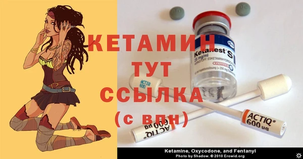 индика Кулебаки