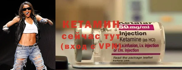 индика Кулебаки
