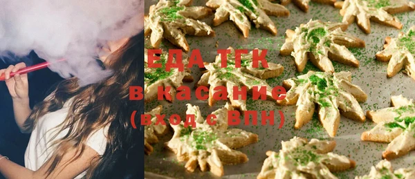 индика Кулебаки