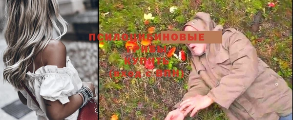 эйфоретик Кукмор