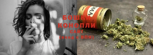 индика Кулебаки