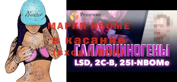 индика Кулебаки